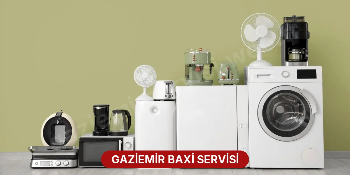 Gaziemir Baxi Servisi