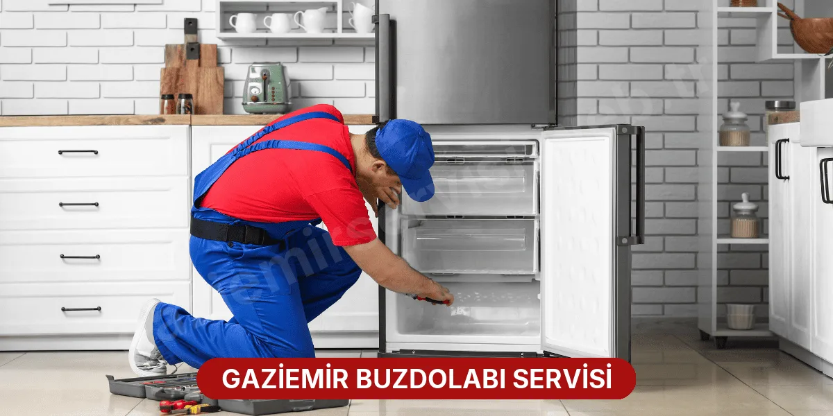 Gaziemir Buzdolabı Servisi