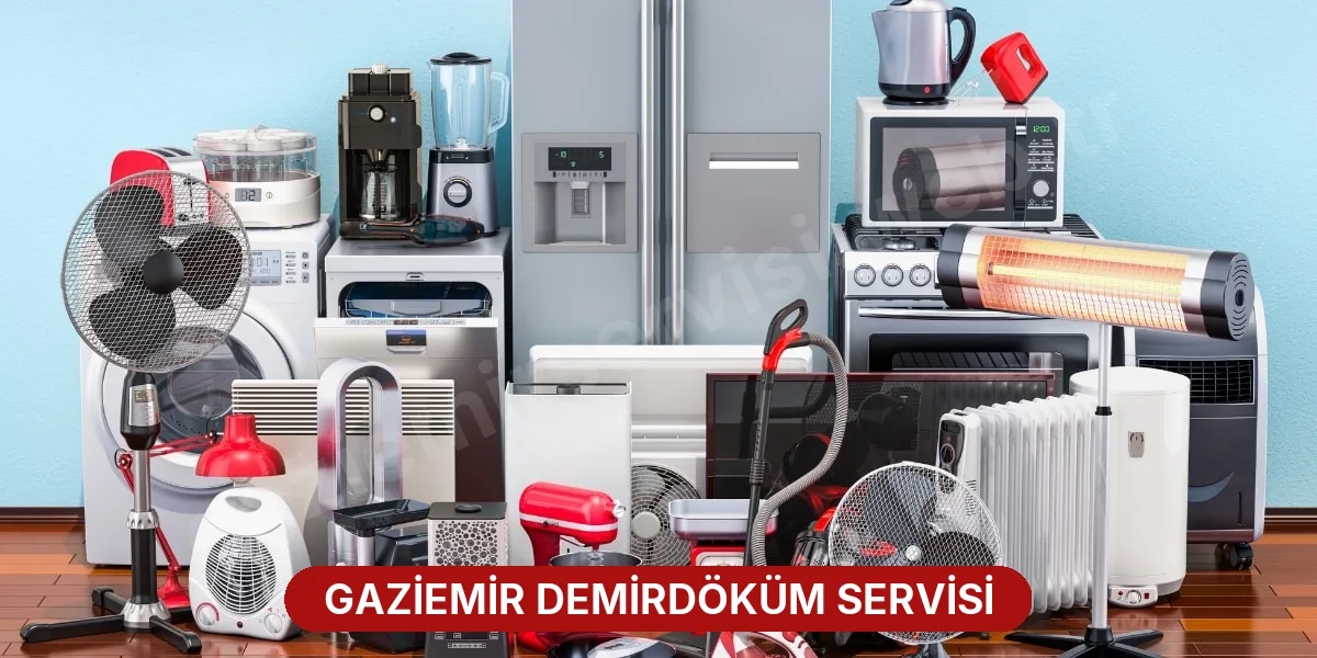Gaziemir Demirdöküm Servisi