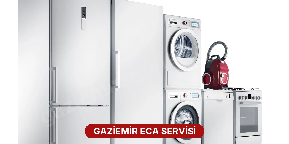 Gaziemir ECA Servisi