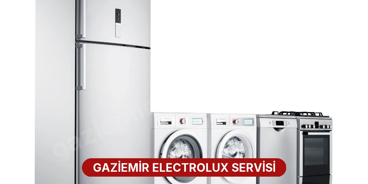 Gaziemir Electrolux Servisi