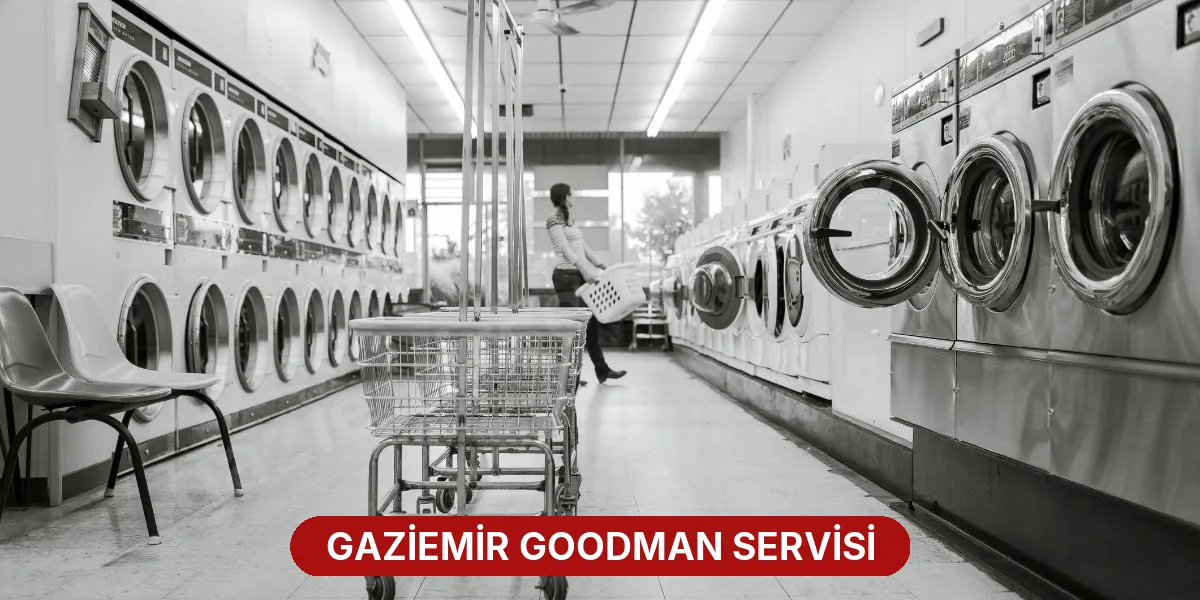 Gaziemir Goodman Servisi