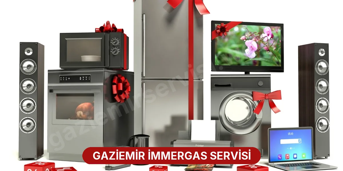 Gaziemir İmmergas Servisi