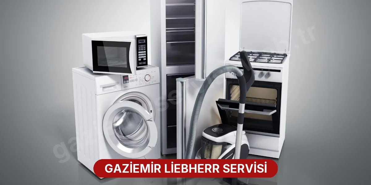 Gaziemir Liebherr Servisi