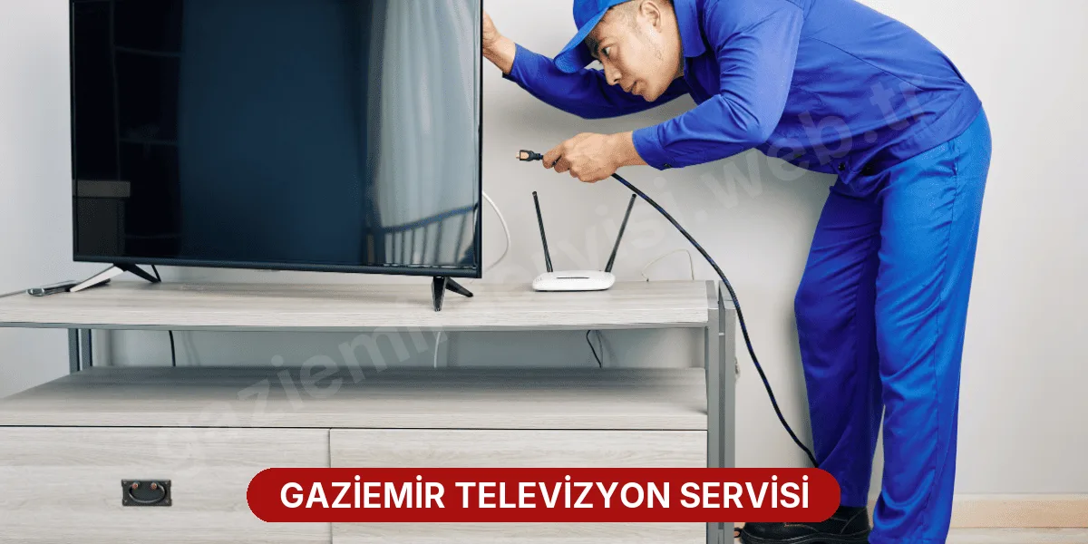 Gaziemir Televizyon Servisi