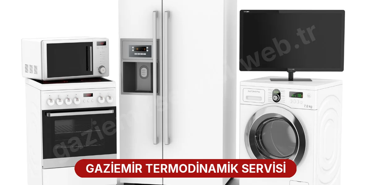 Gaziemir Termodinamik Servisi