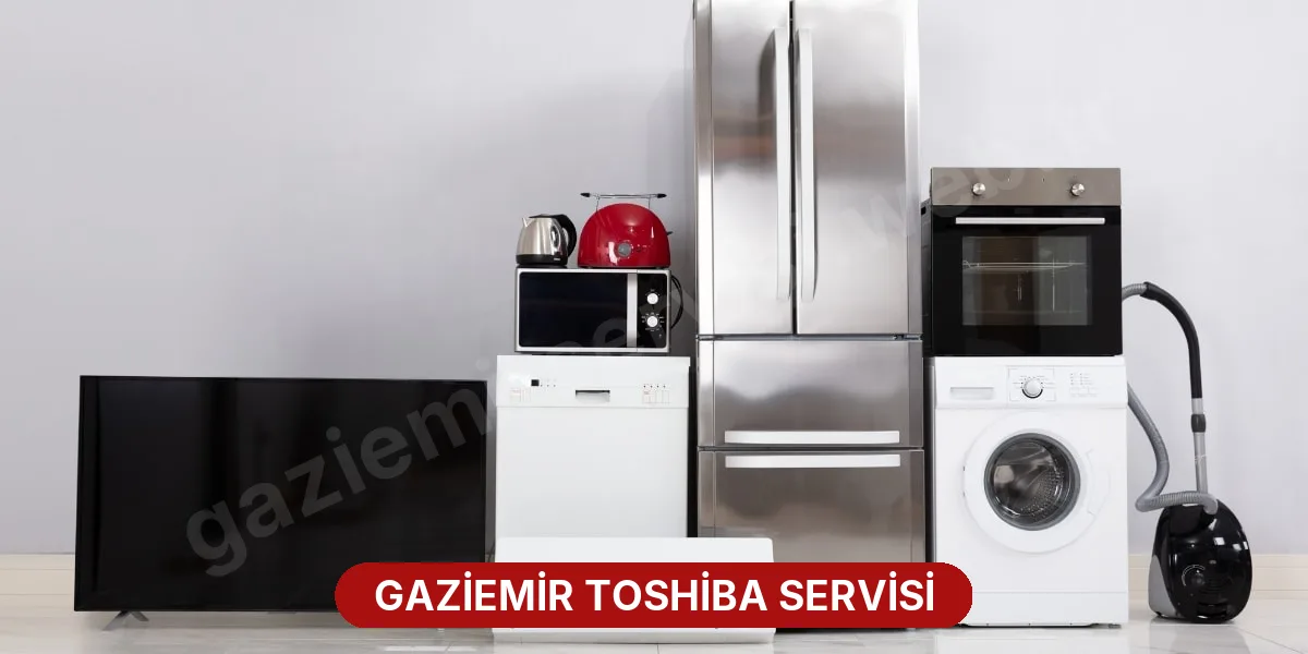 Gaziemir Toshiba Servisi