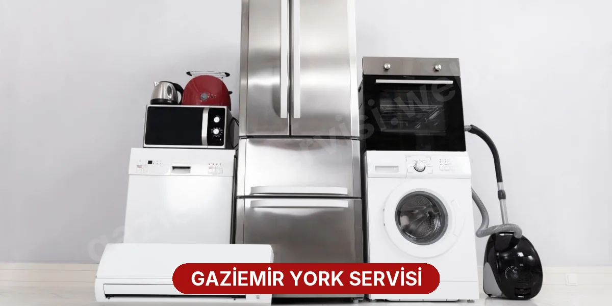 Gaziemir York Servisi